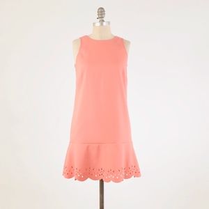 LOFT Laser-Cut Scalloped Edge Mini Shift Dress